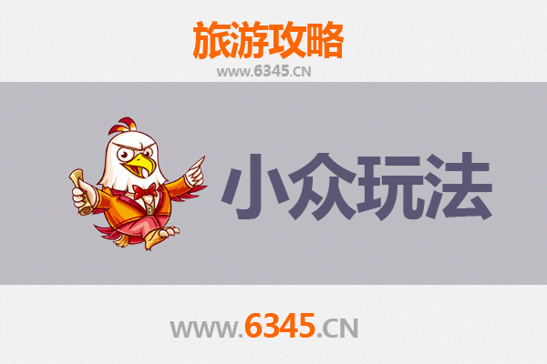 武汉江夏小众玩法探秘：解锁隐藏的文艺与自然之旅